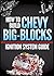 How to Build Chevy Big-Blocks: Ignition System Guide