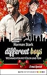 different boys - Weihnachten mit Colin und Tom: X-mas Special (German Edition)