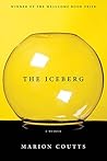 The Iceberg