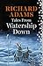 Tales from Watership Down by Richard  Adams