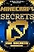 Minecraft: Minecraft Secret...
