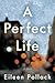 A Perfect Life: A Novel
