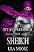 My Stepbrother The Sheikh: The Complete Series (A Baby For The Billionaire)