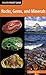 Rocks, Gems, and Minerals (Falcon Pocket Guides)