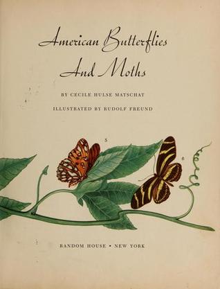 American Butterflies and Moths