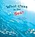 What Lives in the Sea?: Marine Life (Science Storybooks)