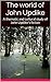 The world of John Updike: A thematic and cultural study of John Updike's fiction