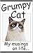 Grumpy Cat - My Musings on Life