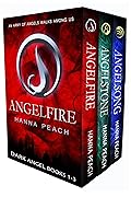 Dark Angel Box Set