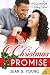 The Christmas Promise (McCl...