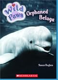 Orphaned Beluga