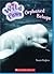 Orphaned Beluga (Wild Paws #4)
