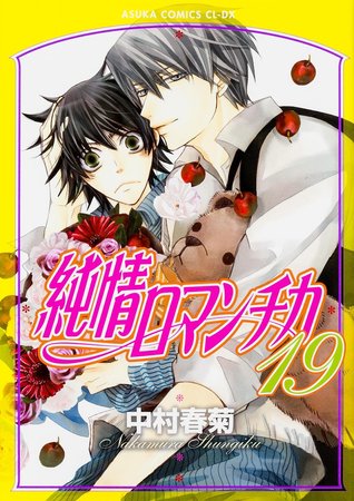 純情ロマンチカ 19 (Junjou Romantica #19)