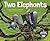 Two Elephants