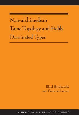 Non-Archimedean Tame Topology and Stably Dominated Types (Annals of Mathematics Studies, 192)