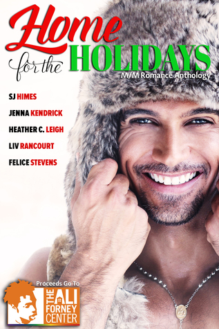 Home for the Holidays (Kindle Edition)