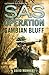 Gambian Bluff by David Monnery