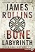 The Bone Labyrinth