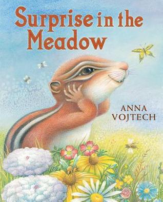 Surprise in the Meadow (Hardcover)