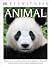DK Eyewitness Books: Animal: Marvel at the Wonders of the Animal Kingdom from the Tiniest Insects to the Migh