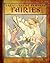 Fairies (Creatures of Fantasy)