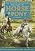 Horse & Pony Stories: The Pullein-Thompson Treasury: 38 Favorite Horse and Pony Adventures