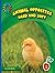 Hard and Soft (21st Century Basic Skills Library: Level 1: Animal Opposites)