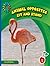 Sit and Stand (21st Century Basic Skills Library: Level 1: Animal Opposites)