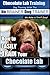 Chocolate Lab Training | Dog Training with the No BRAINER Dog TRAINER ~ We Make it THAT Easy! |: How to EASILY TRAIN Your Chocolate Labrador (Chocolate Labrador Training Book 1)