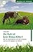 Die Kuh ist kein Klima-Killer!: Wie die Agrarindustrie die Erde verwüstet und was wir dagegen tun können (German Edition)