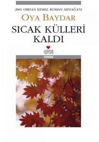 Sıcak Külleri Kaldı (Paperback)