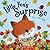 Little Fox's Surprise