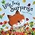 Little Fox's Surprise by Trace Moroney
