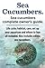 Sea Cucumbers. Seacucumbers...