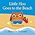 Little Hoo Goes to the Beach