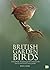 British Garden Birds: A Guide to the Bird Life that Can Be Found in Your Garden