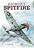 Glorious Spitfire: A Symbol of Hope in the Dark Days of Conflict