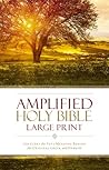 Amplified Holy Bi...