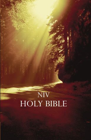 NIV Holy Bible