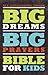 NIV, Big Dreams, Big Prayers Bible for Kids
