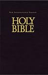 NIV, Economy Bible