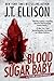 Blood Sugar Baby by J.T. Ellison