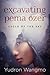 Excavating Pema Ozer (Cycle of the Sky, #1)