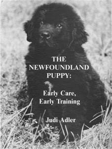 The Newfoundland Puppy: Early Care, Early Training