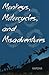 Monkeys, Motorcycles, and Misadventures by N.S.Harsha Vardhan