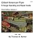 Gilbert American Flyer S Gauge Operating & Repair Guide: Volume 2