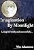 Imagination by Moonlight: Living a bold and successful life