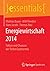 Energiewirtschaft 2014: Fak...