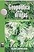 Geopolítica de las drogas by Alain Labrousse