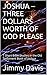 JOSHUA --THREE DOLLARS WORTH OF GOD PLEASE: 7 Short Bible Studies in the Old Testament Book of Joshua